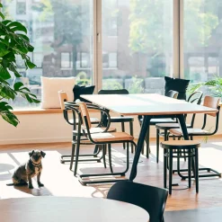 1500 Esstisch 200x100cm