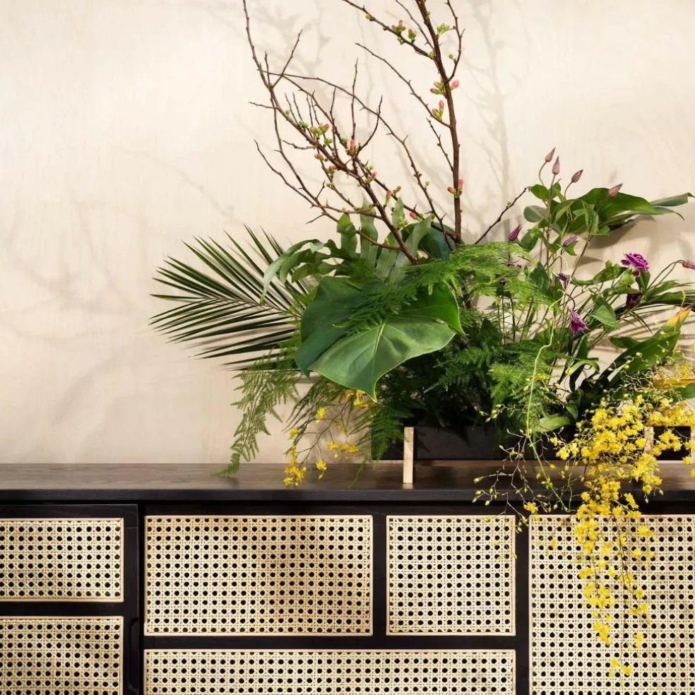 Air Sideboard niedrig