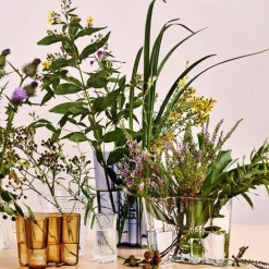 Aktionsset Alvar Aalto Vasen 2 Stück