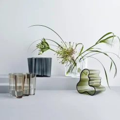 Aktionsset Alvar Aalto Vasen 2 Stück