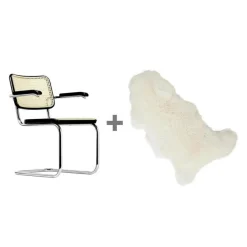 Aktionsset S 64 V Freischwinger + Fell