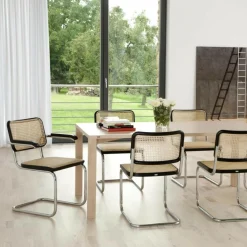 Aktionsset S 64 V Freischwinger + Fell