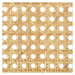 Aktionsset S 32 V Freischwinger Stuhl + Fell