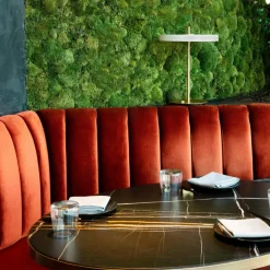 Asteria LED Tischleuchte