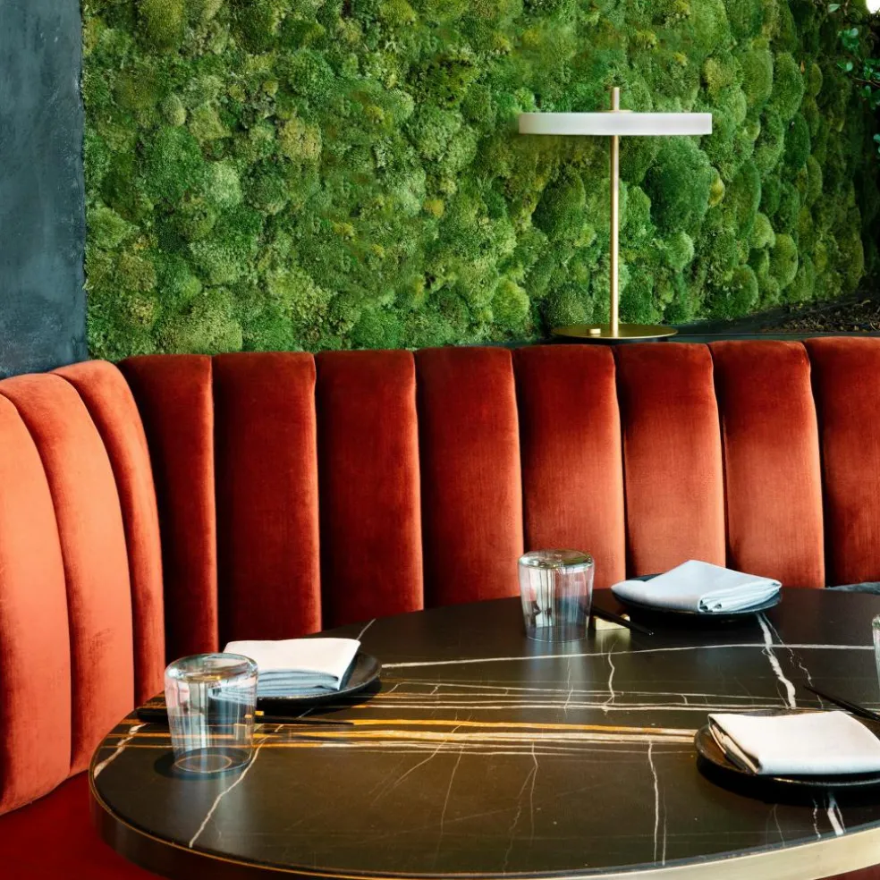 Asteria LED Tischleuchte