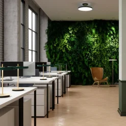 Asteria LED Tischleuchte