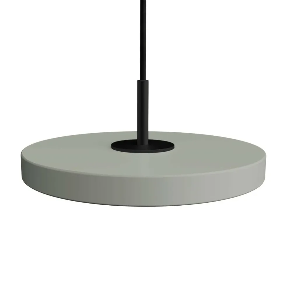 Asteria Micro LED Pendelleuchte V2 schwarz