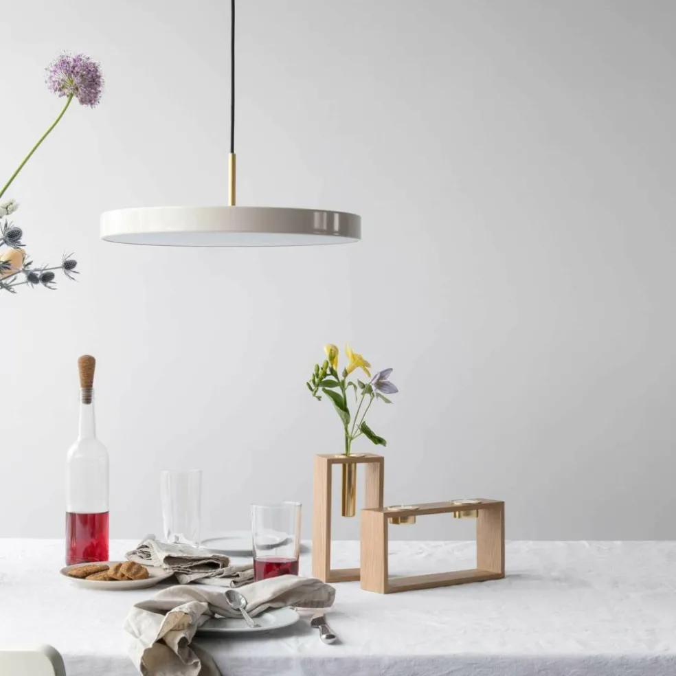 Asteria Mini LED Pendelleuchte Messing