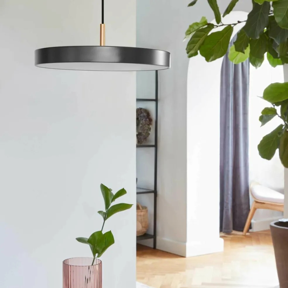 Asteria Mini LED Pendelleuchte Messing