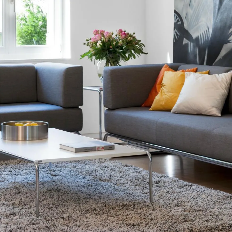 B 20 Couchtisch/Beistelltisch Esche