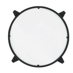 Berenice Ersatz-Schutzglas