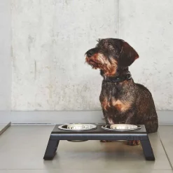 Bergamo Hundehalsband ML