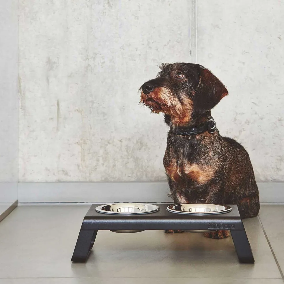 Bergamo Hundehalsband ML