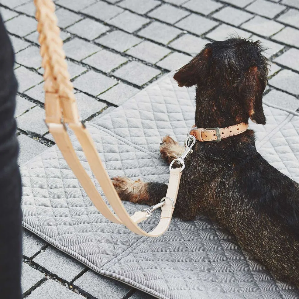 Bergamo Hundehalsband ML