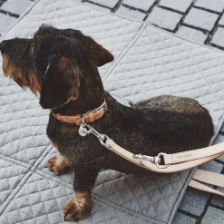 Bergamo Hundehalsband ML