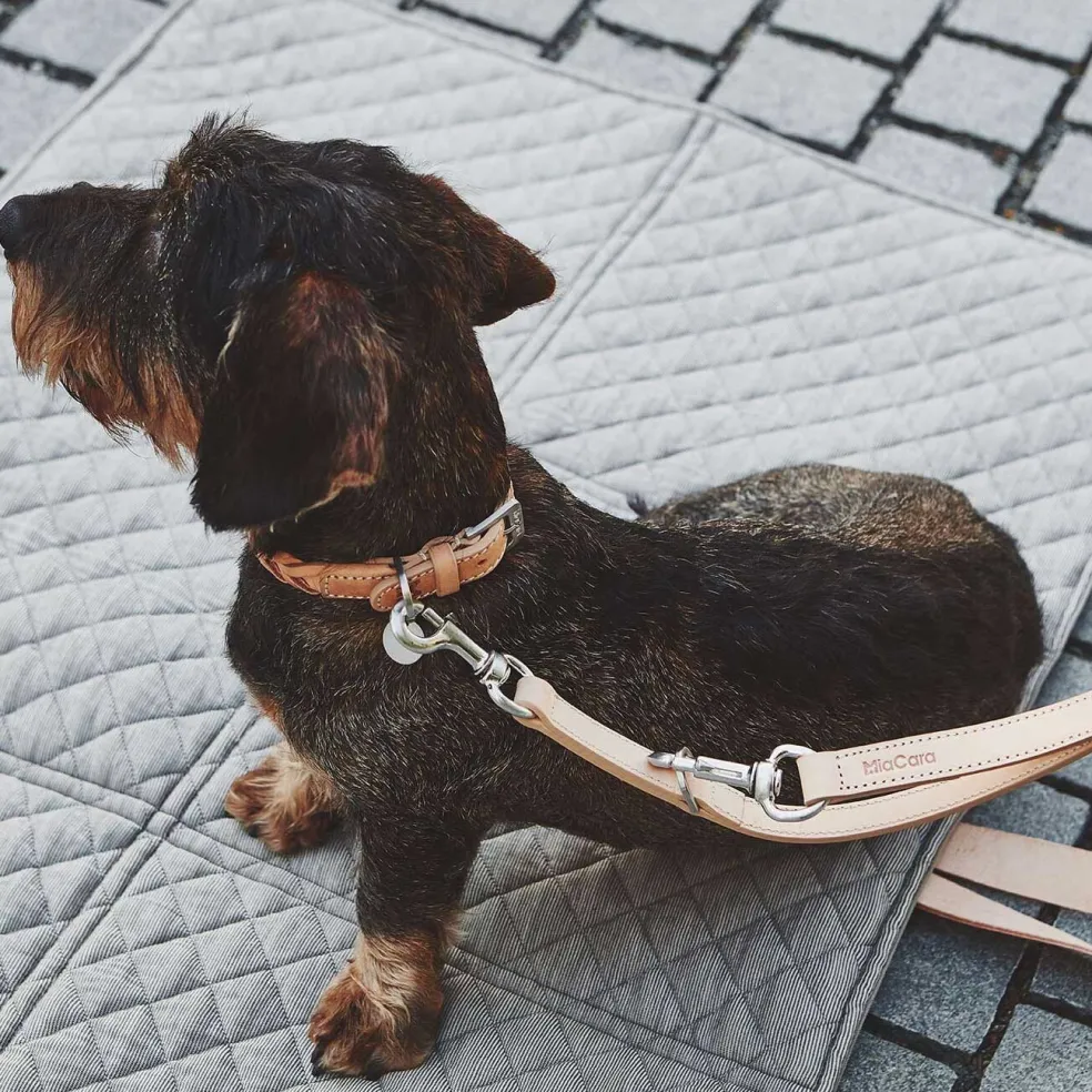 Bergamo Hundehalsband ML