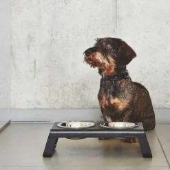 Bergamo Hundehalsband SM