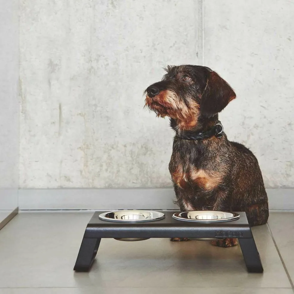 Bergamo Hundehalsband SM