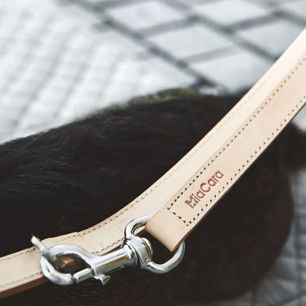 Bergamo Hundeleine geflochten