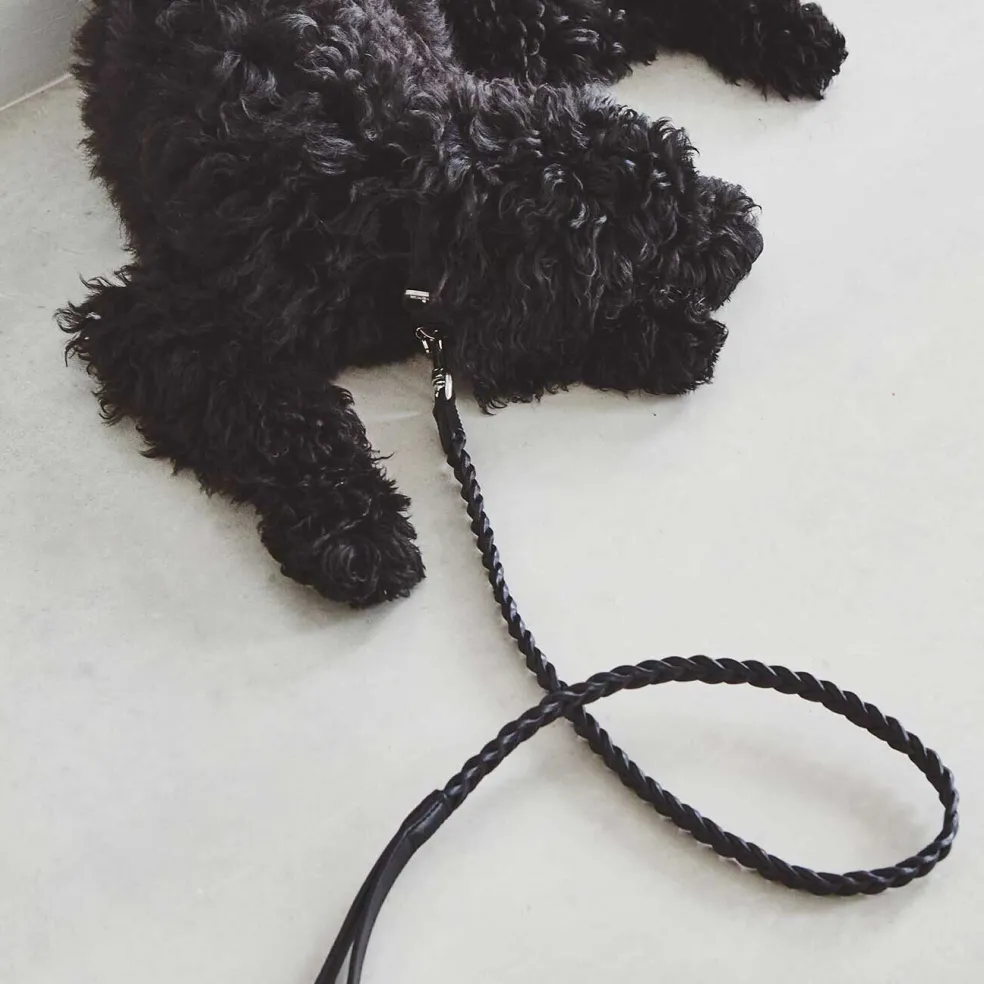 Bergamo Hundeleine geflochten