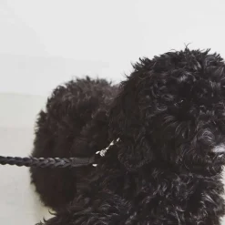 Bergamo Hundeleine geflochten