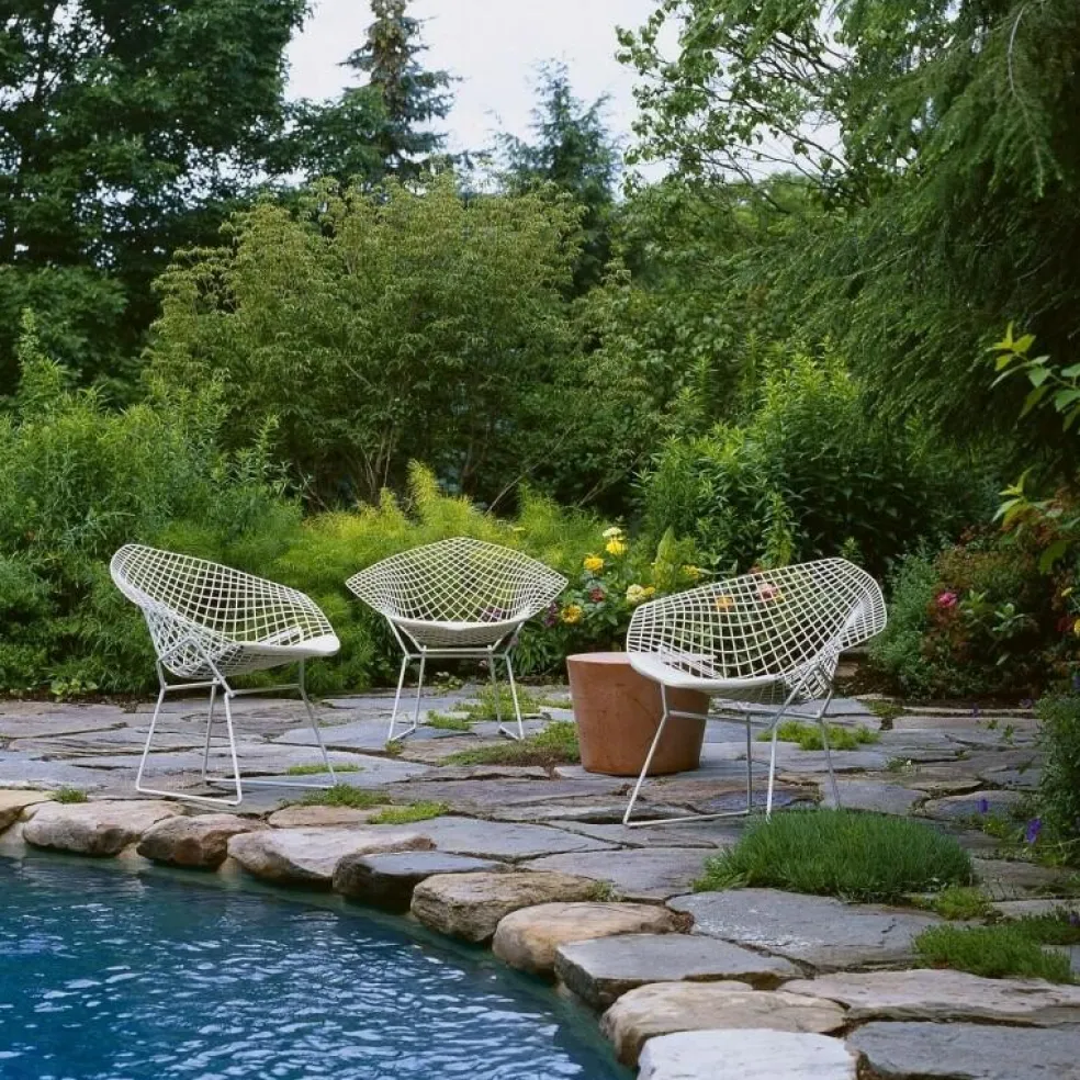 Bertoia Diamond Sessel mit Sitzkissen