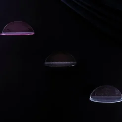 Blash Small Wandregal