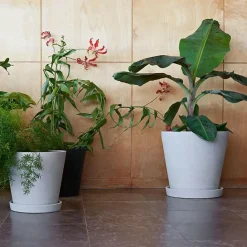 Blumentopf mit Untersetzer XXL