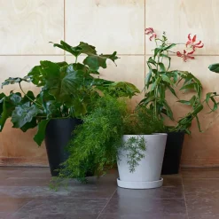 Blumentopf mit Untersetzer XL