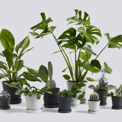 Blumentopf mit Untersetzer M