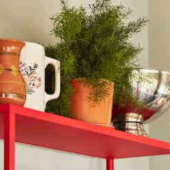 Botanical Family Untersetzer XL