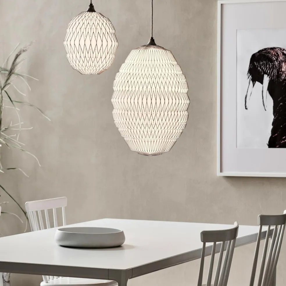 Caleo 1 Pendelleuchte