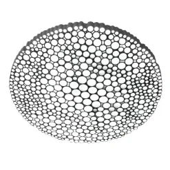 Calipso LED Wandleuchte/Deckenleuchte App Control