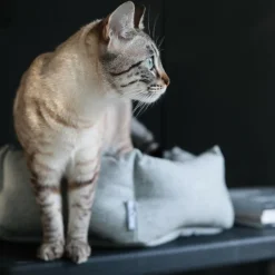 Calma Katzenbett Hexagon