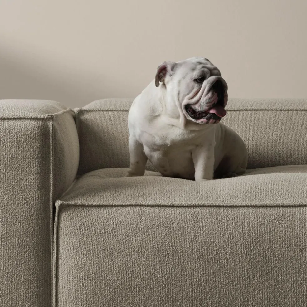 Cosima Modulsofa mit großer Ecke 300x120cm