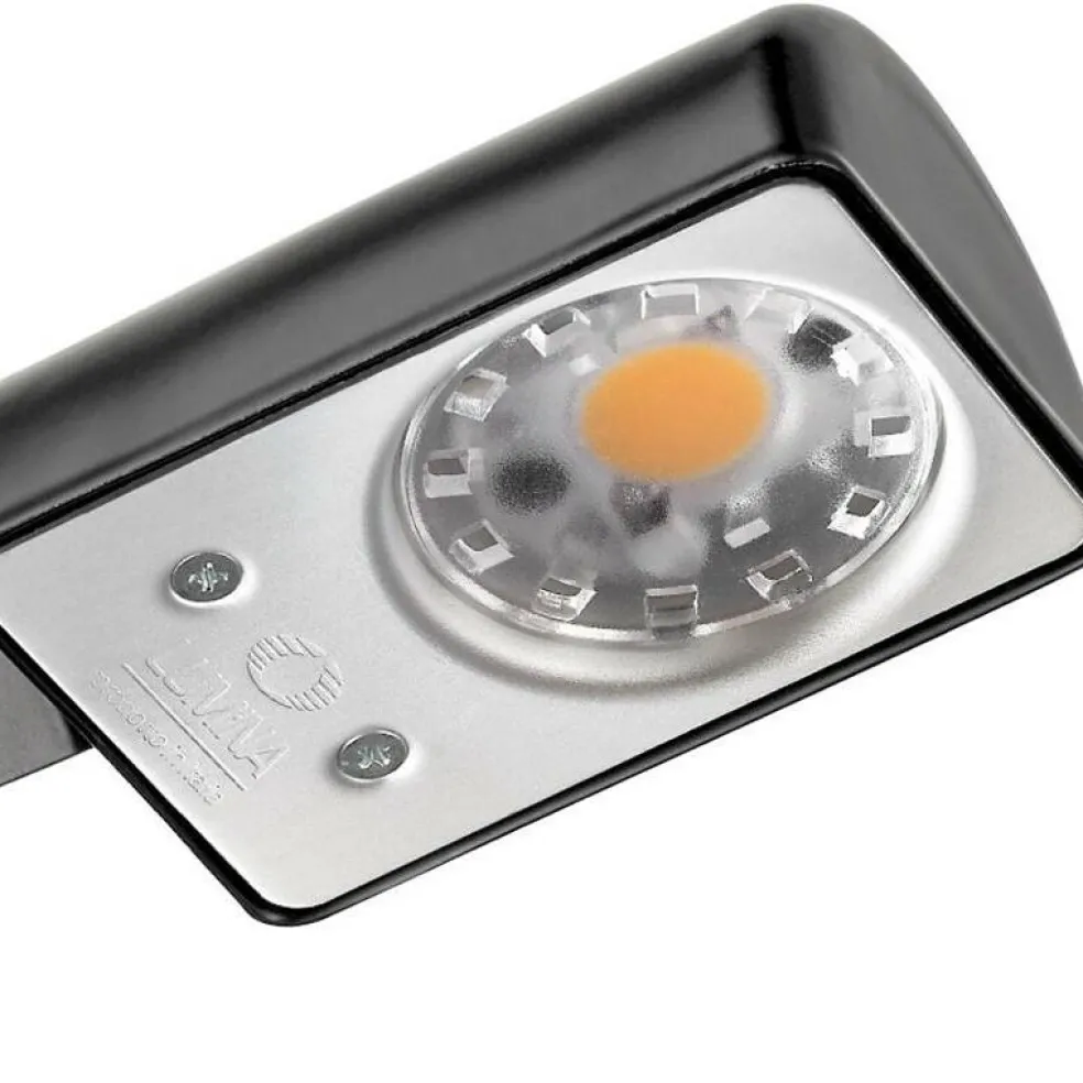 Daphine Cloe LED Schreibtischleuchte