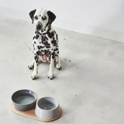 Doppio Hundenapf 2er Set mit Holztablett SM