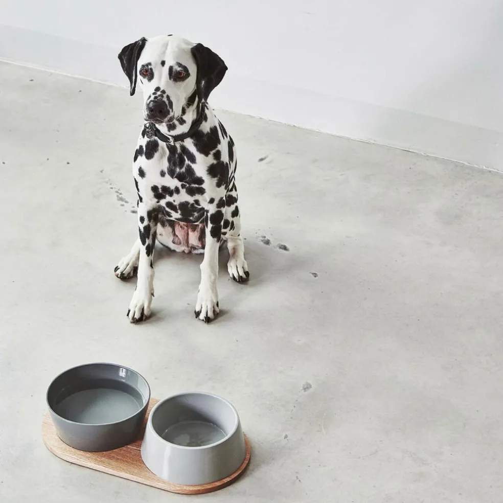Doppio Hundenapf 2er Set mit Holztablett SM