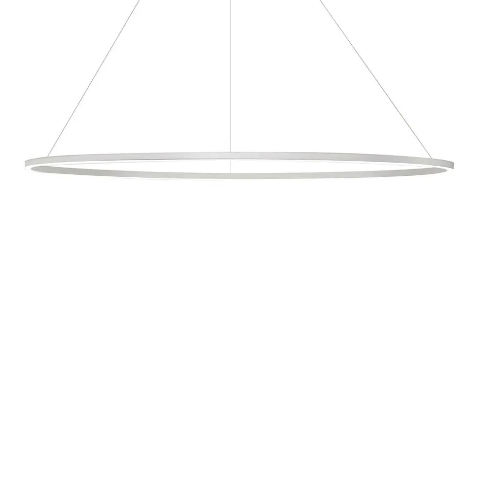 Ellisse Major Downlight LED Pendelleuchte