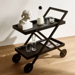 Exit Barwagen/Servierwagen