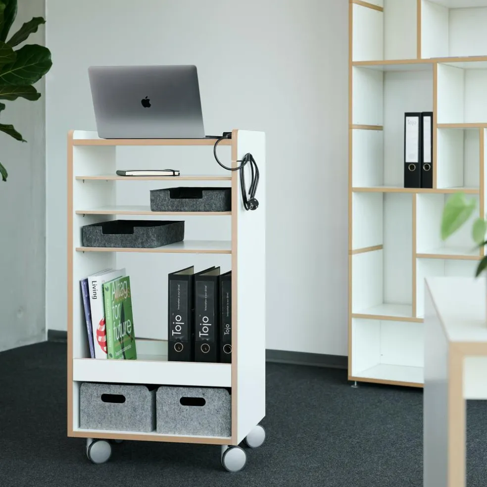 Fahrbar Rollwagen mit Fächern dreifach