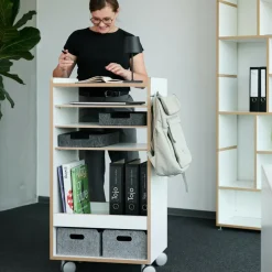 Fahrbar Rollwagen mit Fächern dreifach