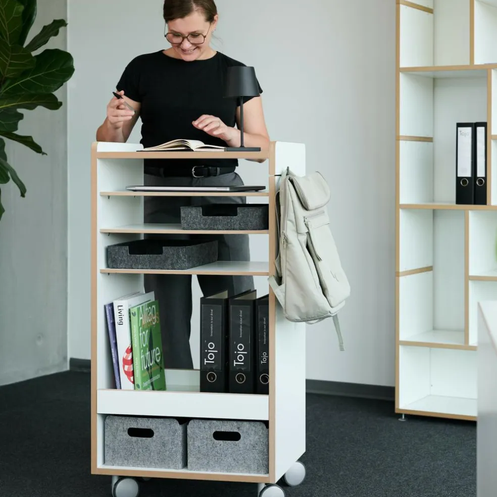 Fahrbar Rollwagen mit Fächern dreifach