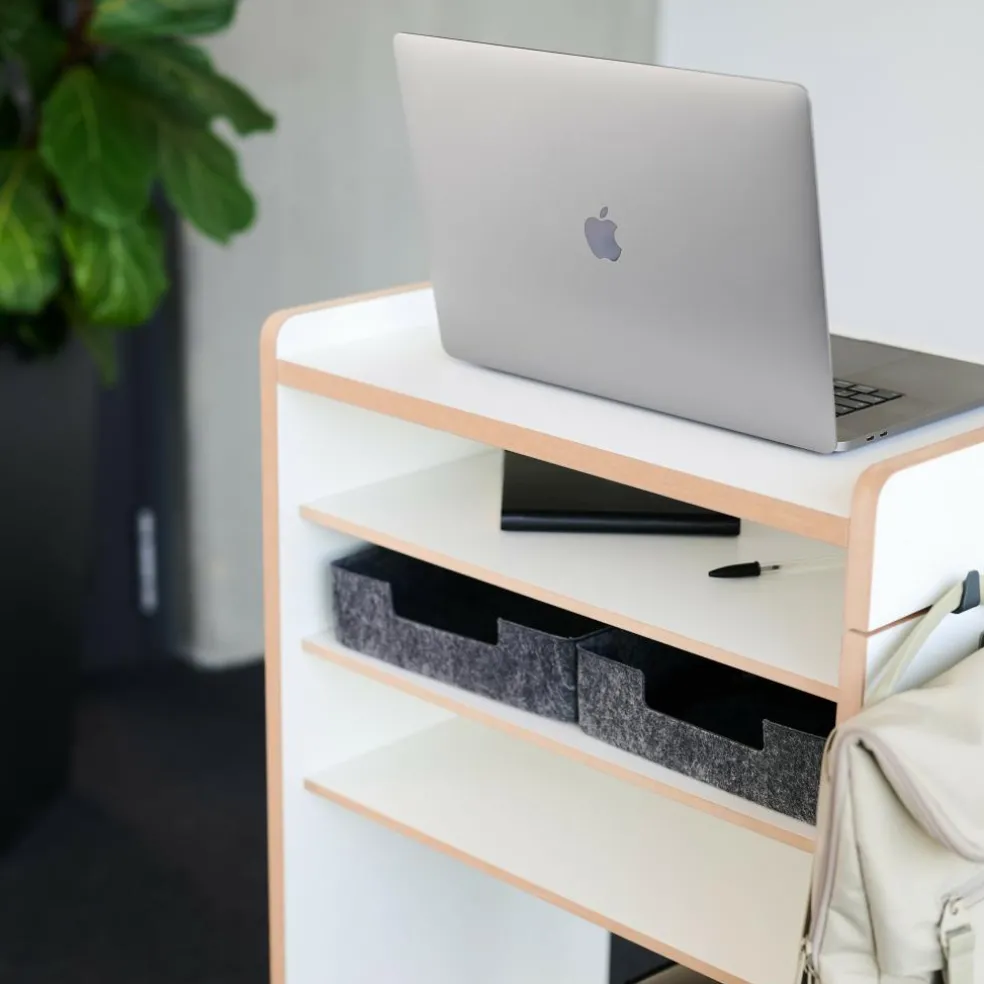 Fahrbar Rollwagen mit Fächern dreifach