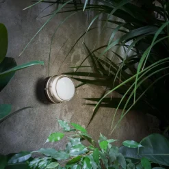 Fresnel 1148 Außenwand-/Deckenleuchte