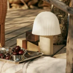 Frill LED Tischleuchte mit Akku