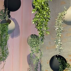 Globe Hängeblumentopf Ø 21cm