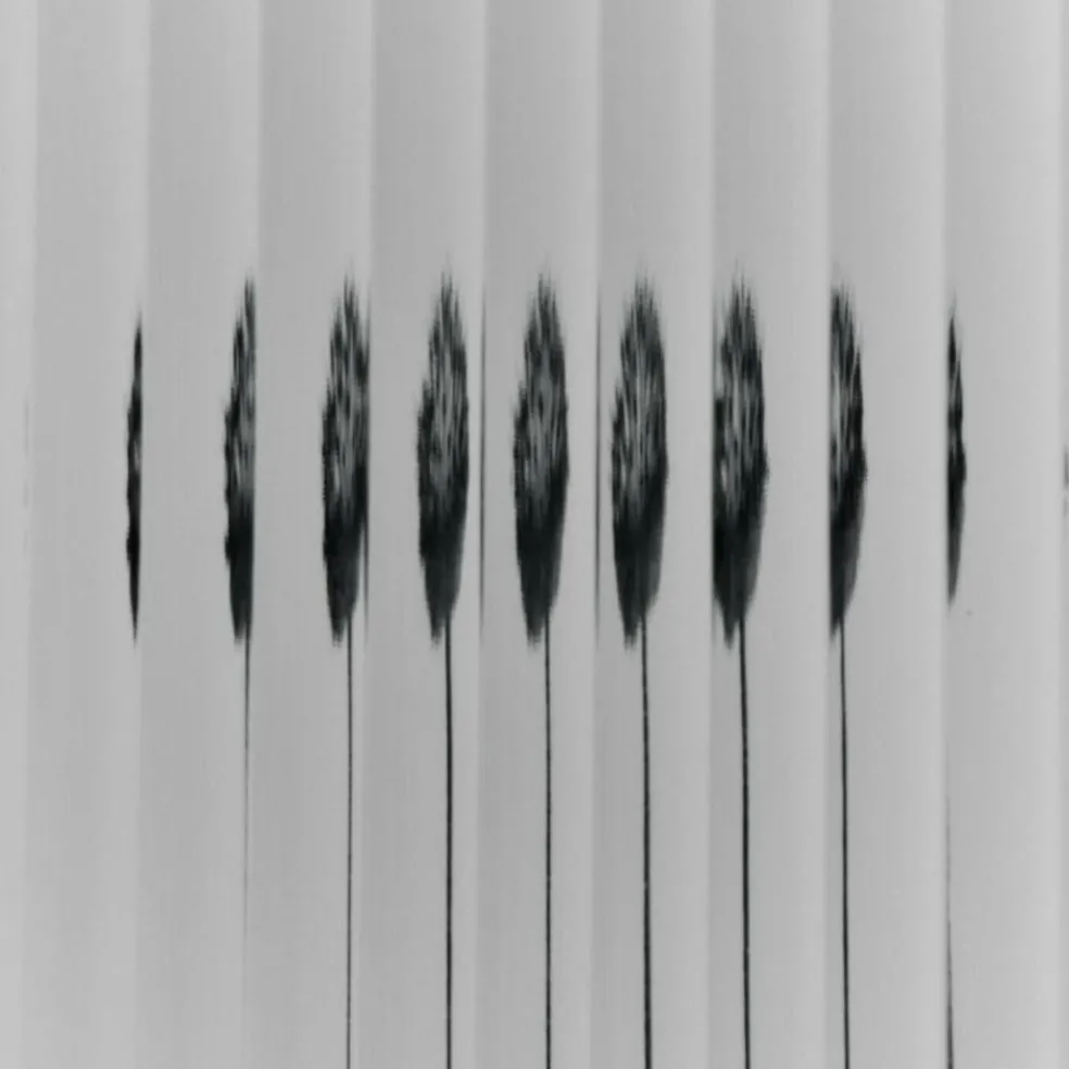 Haze Wandschrank geriffeltes Glas 35x100cm