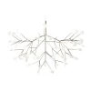 Heracleum III Small LED Pendelleuchte