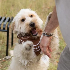 Hundehalstuch recycelt 55x55cm